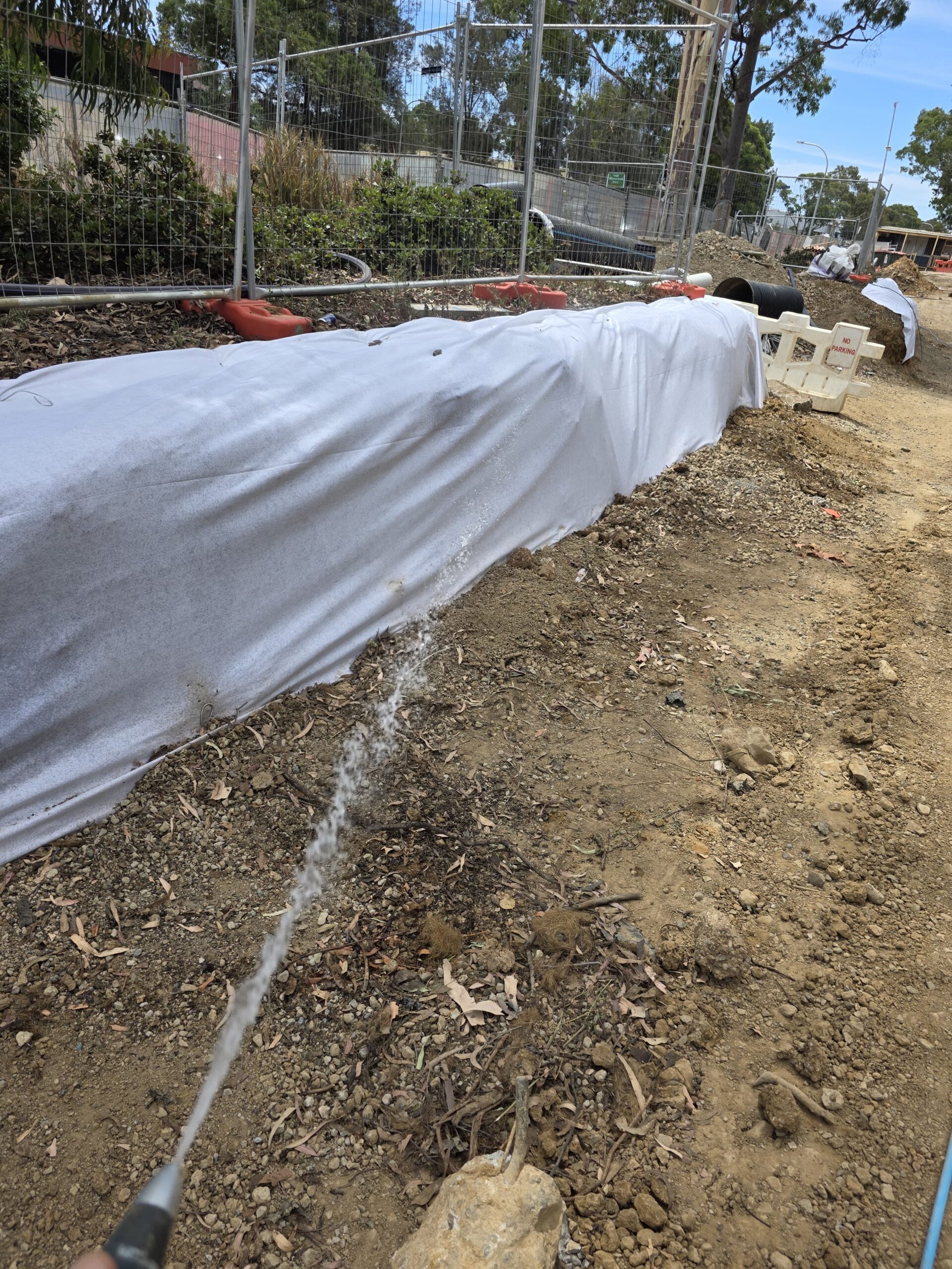 Wrapped tree roots being kept moist during construction on the Texco site at Minto