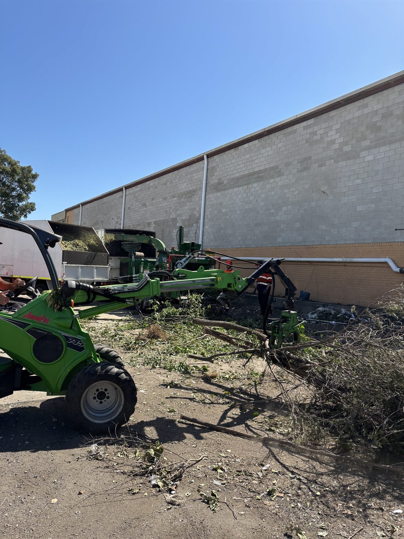 True Roots machinery handling timber and stump related tree work