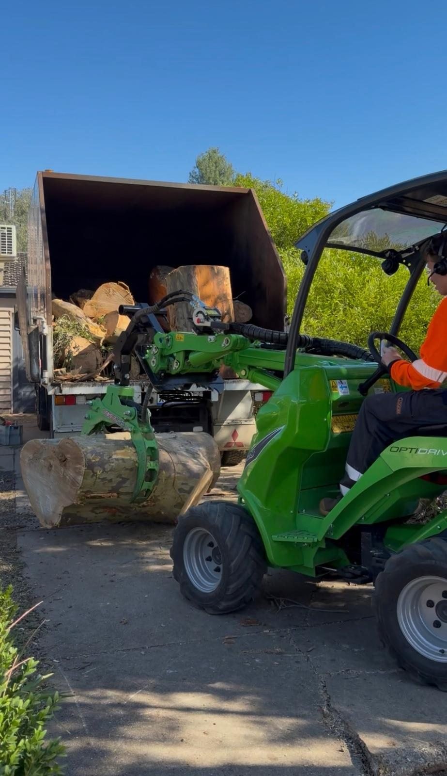 True Roots machinery loading logs after tree removal in Sydney