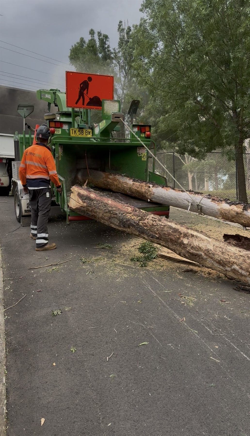 True Roots root and stump removal work