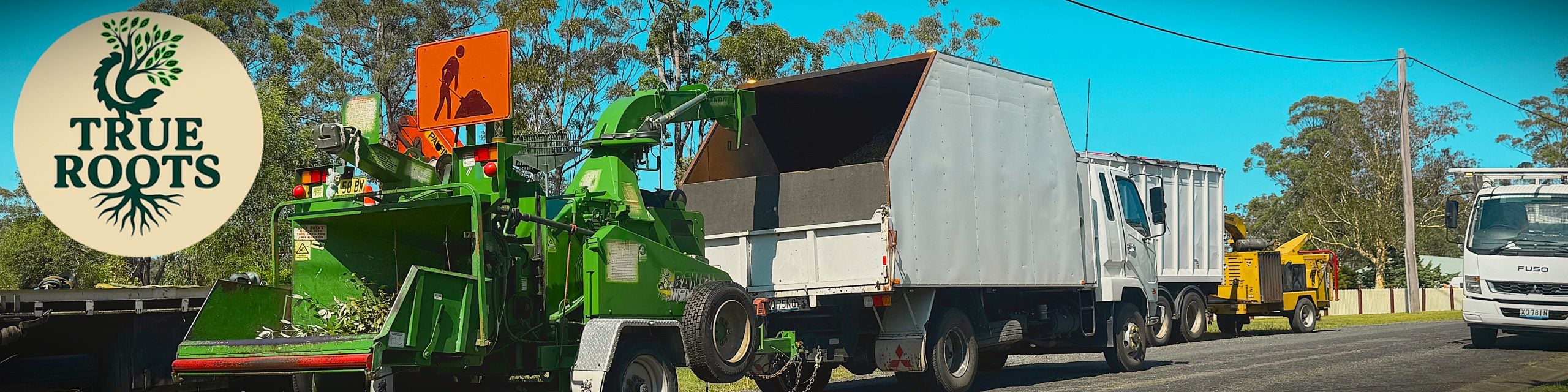 Tree removal quote Sydney — True Roots crew ready for your job