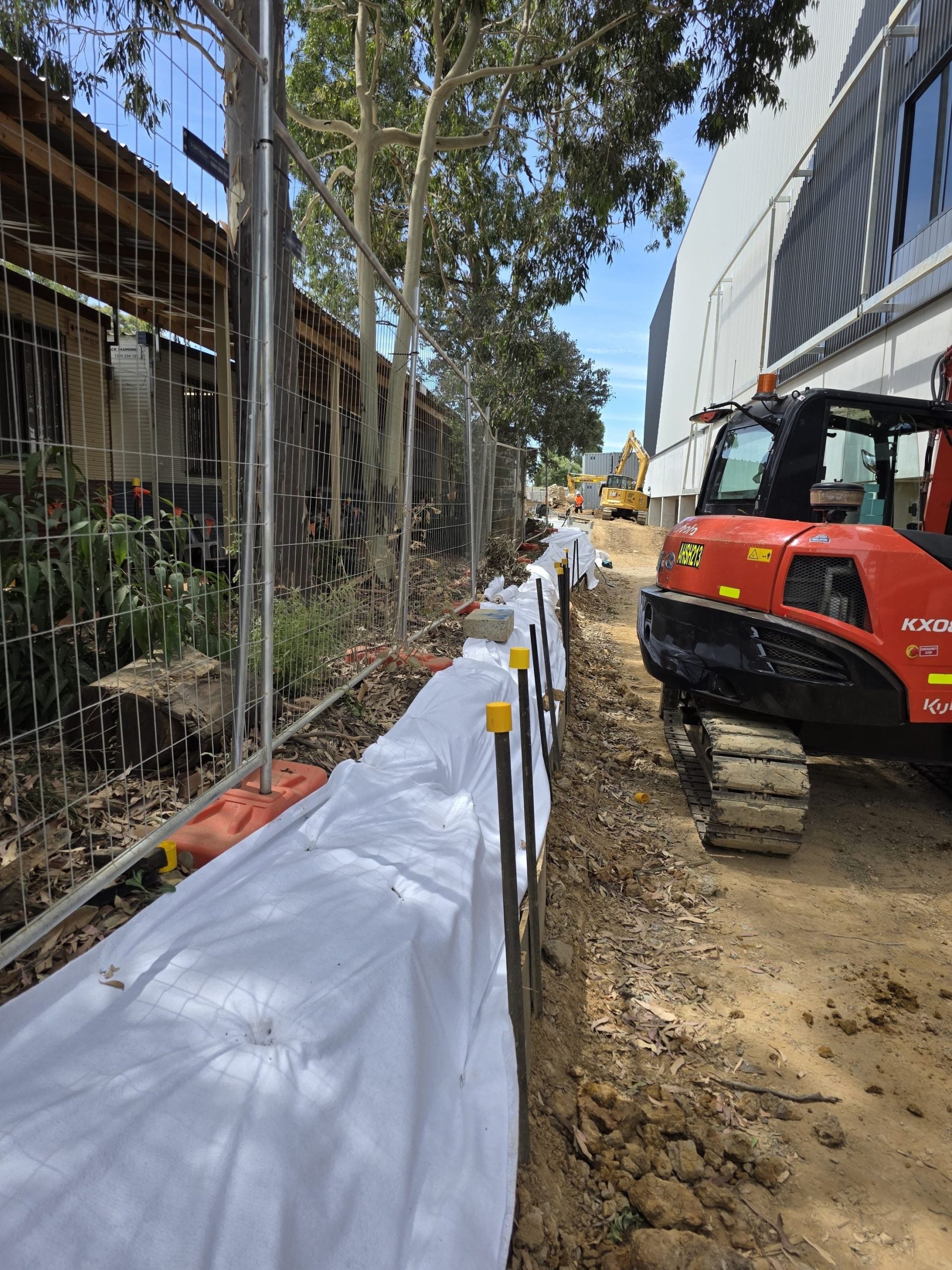 Commercial tree services Sydney — True Roots crew on a commercial site removal