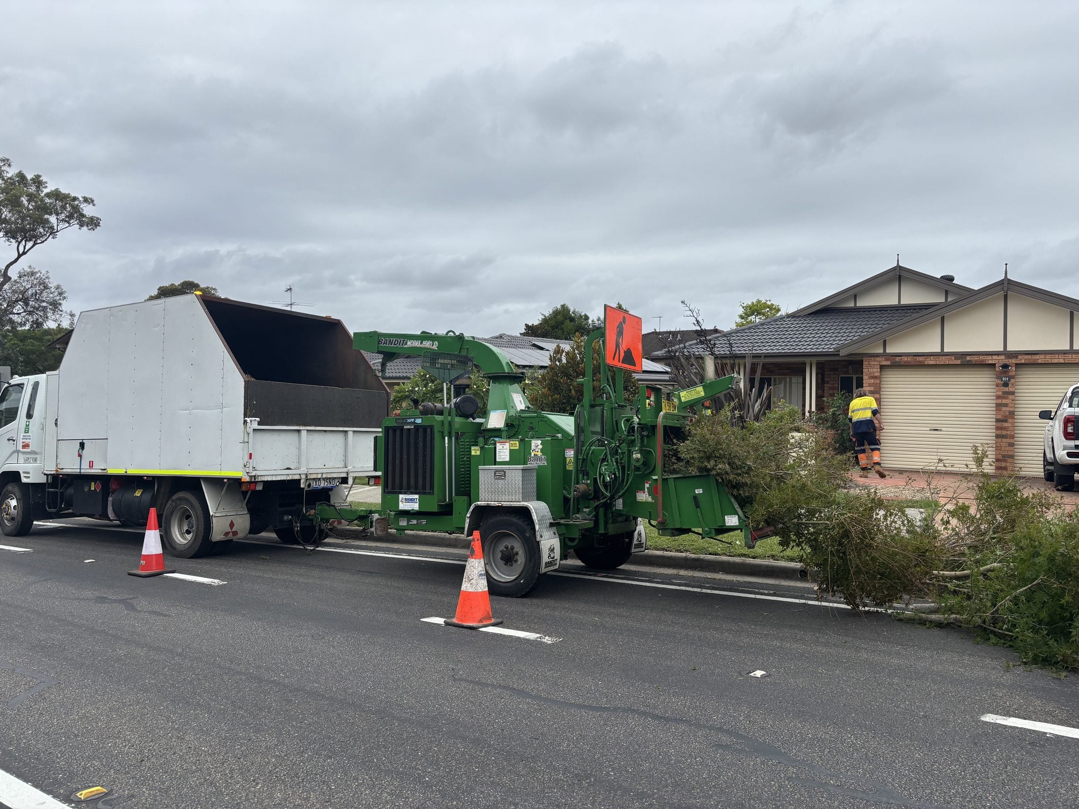 Commercial tree care Sydney — programmed street and site tree works