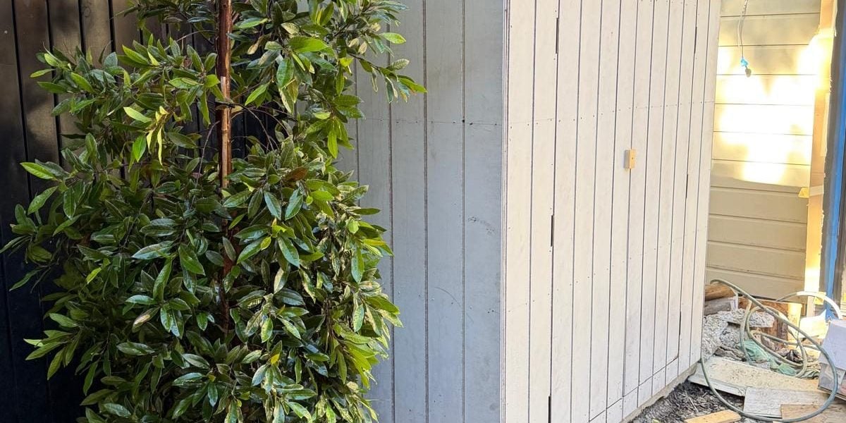 Landscaping and tree planting completed by True Roots in Sydney