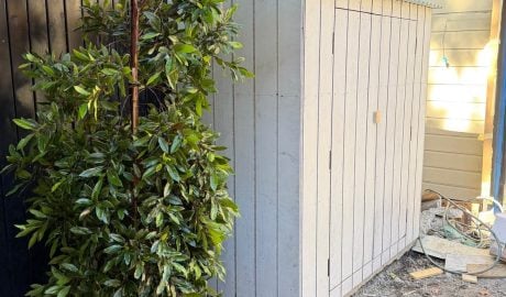 Landscaping and tree planting completed by True Roots in Sydney