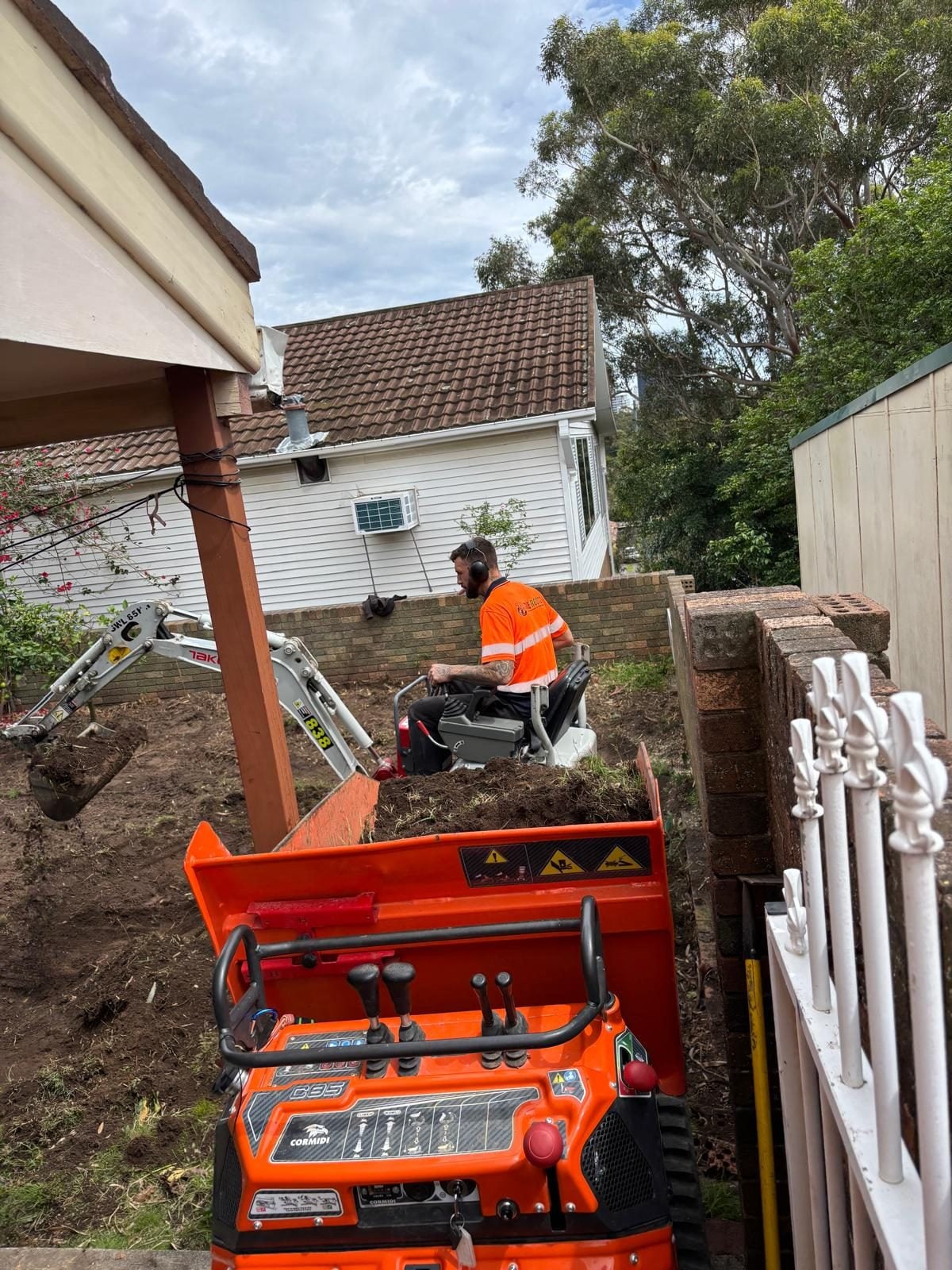 Commercial tree care Sydney — strata and facilities tree maintenance