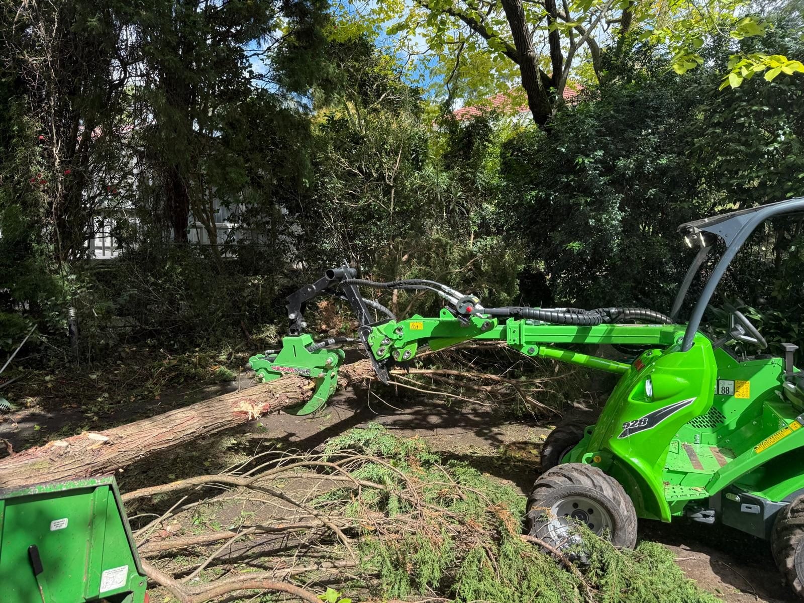 Dangerous tree removal Sydney — sectional dismantle over a house