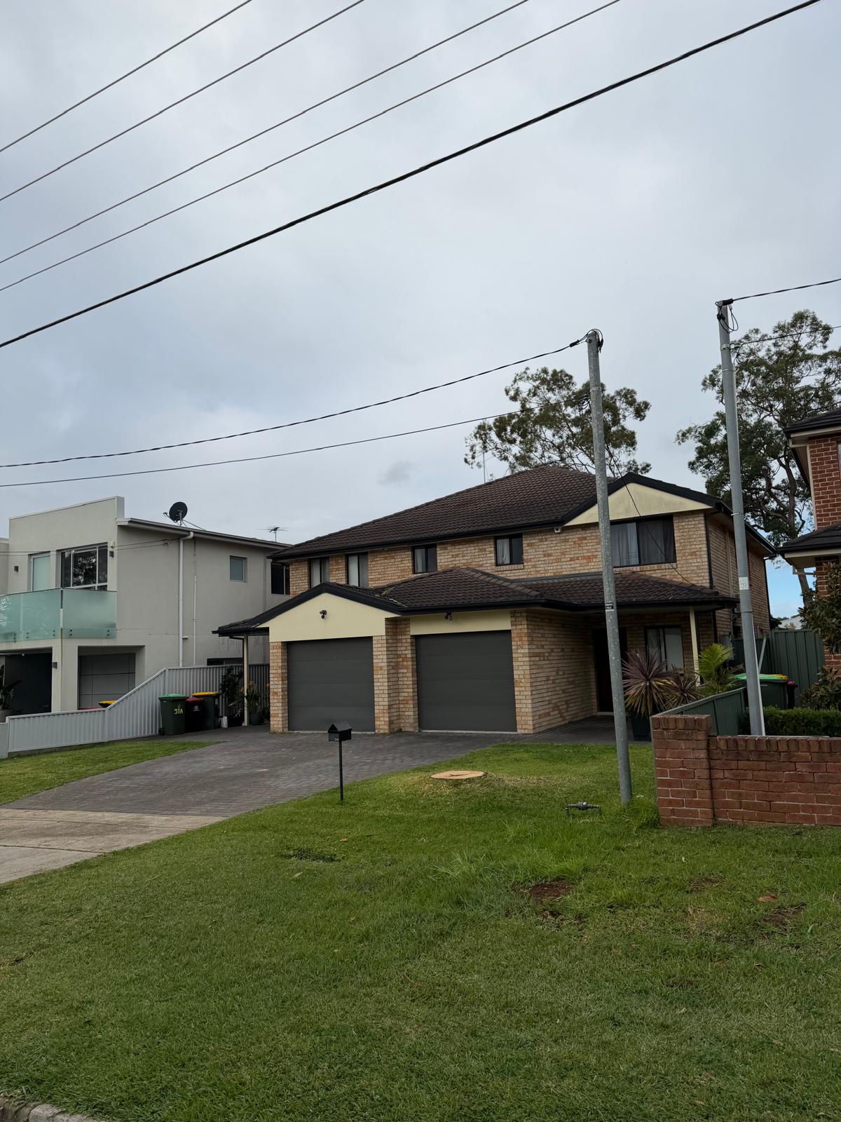Same yard after the Norfolk Island pine was removed and cleaned up