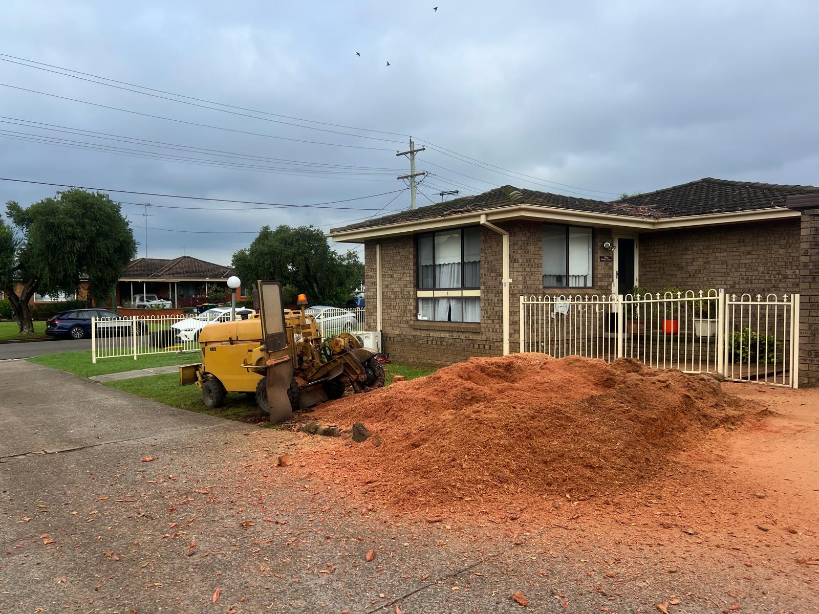 Rayco 100hp stump grinder after grinding out a massive eucalyptus stump in Cronulla