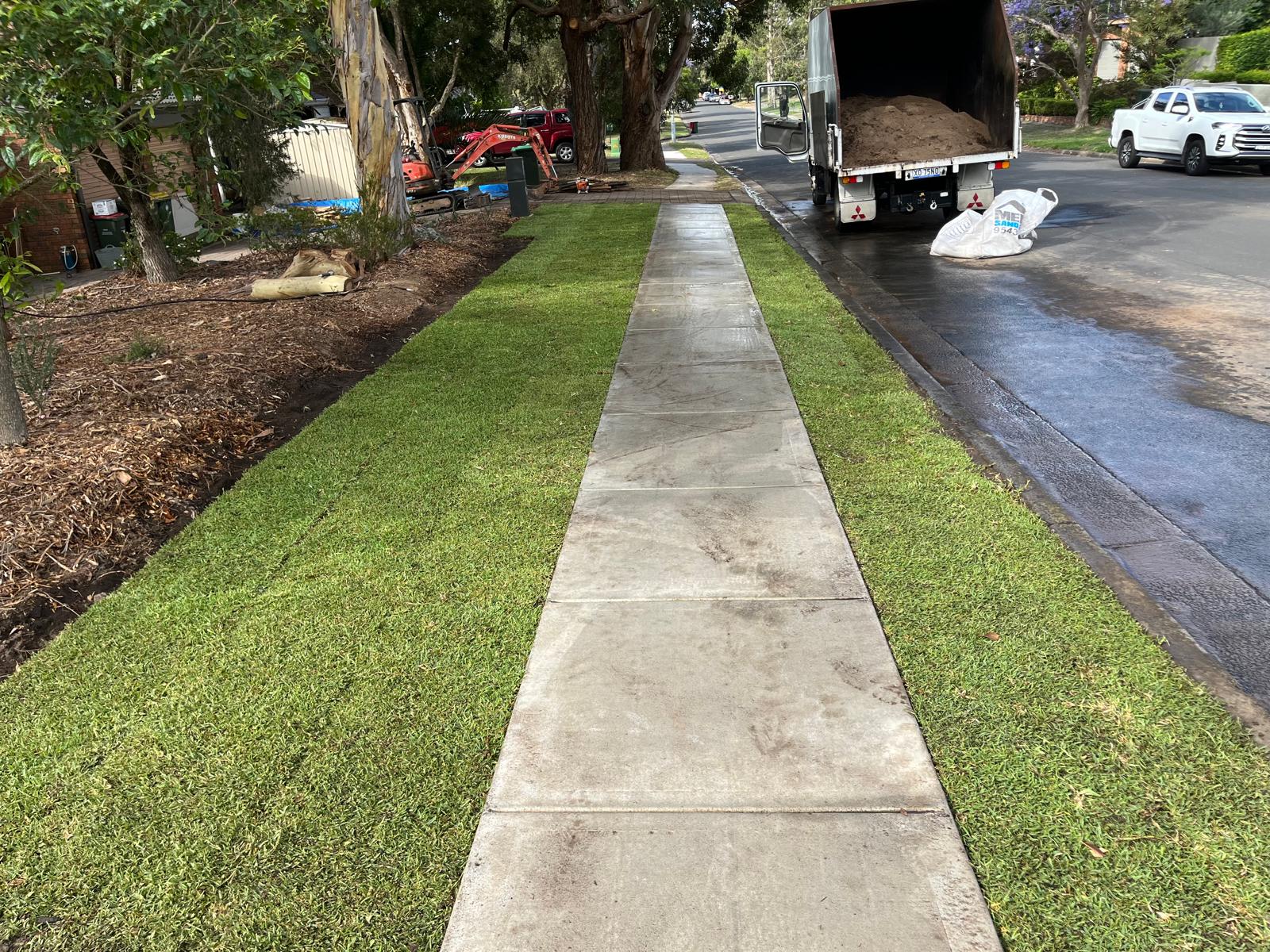 New turf laid by True Roots after tree work in the Sutherland Shire