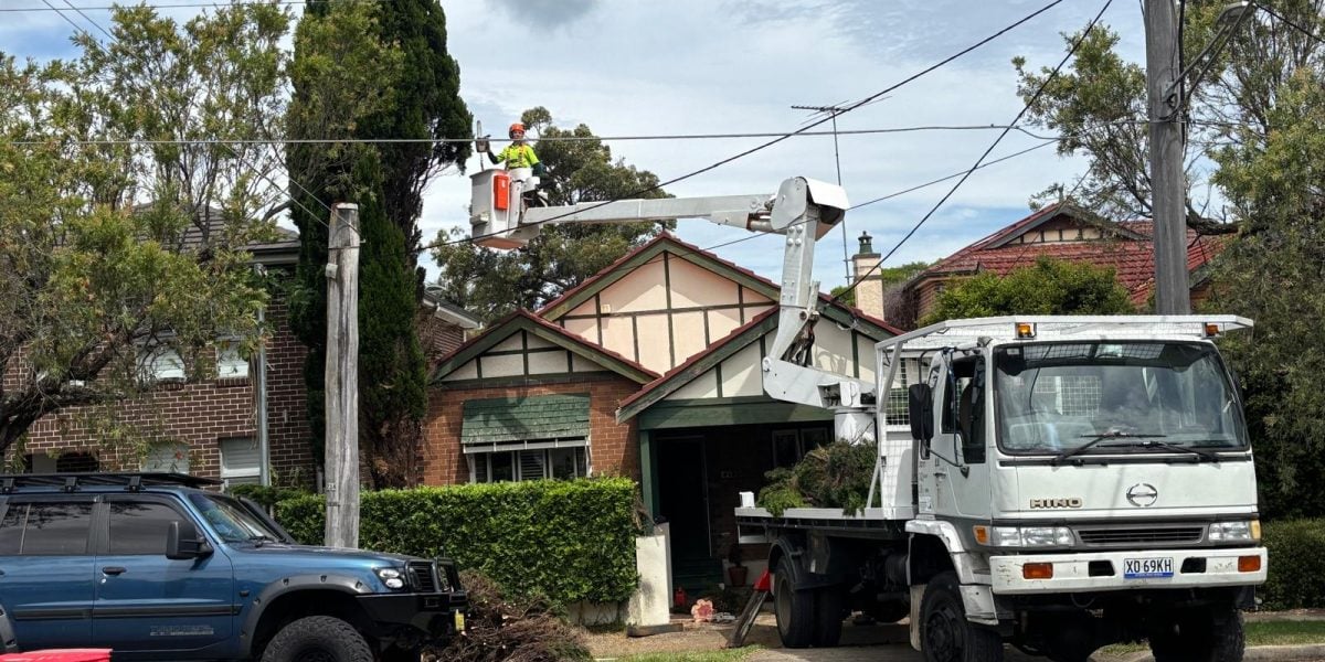 True Roots vegetation management and tree trimming in Mortdale