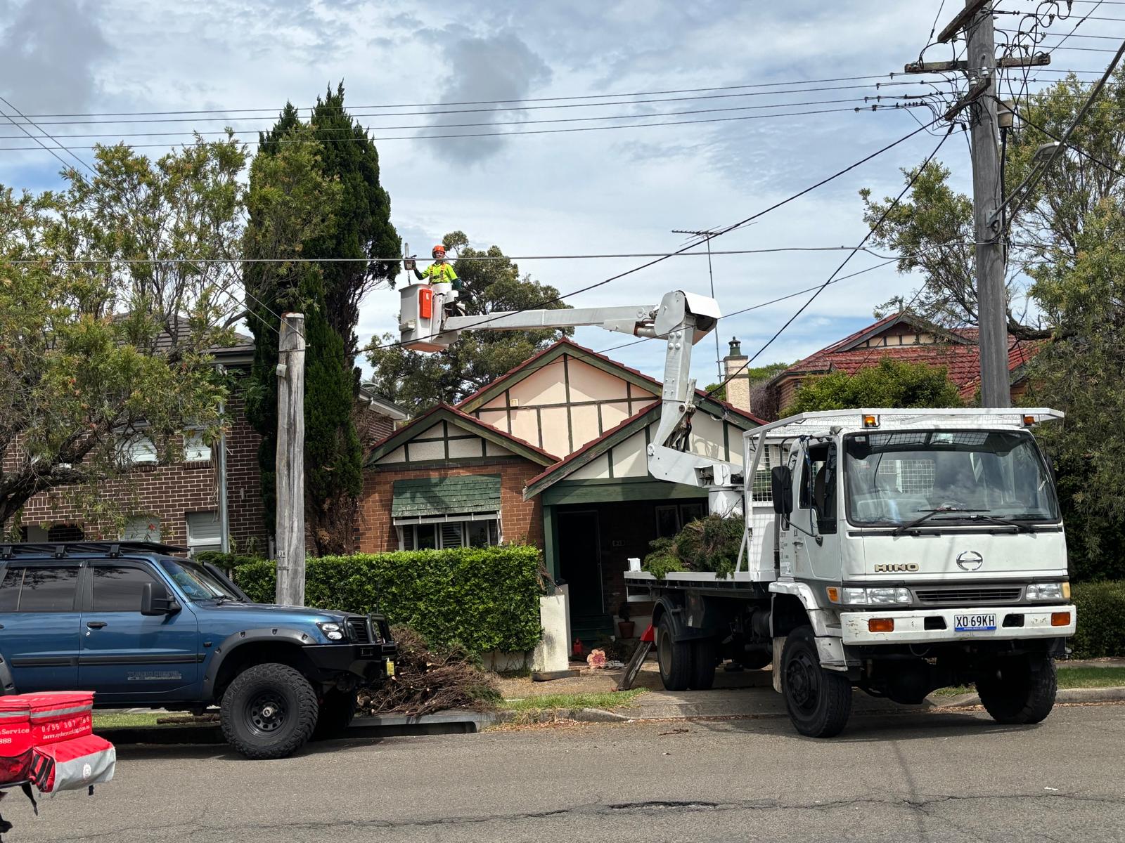 Arborist St George — True Roots trimming a tree in Mortdale