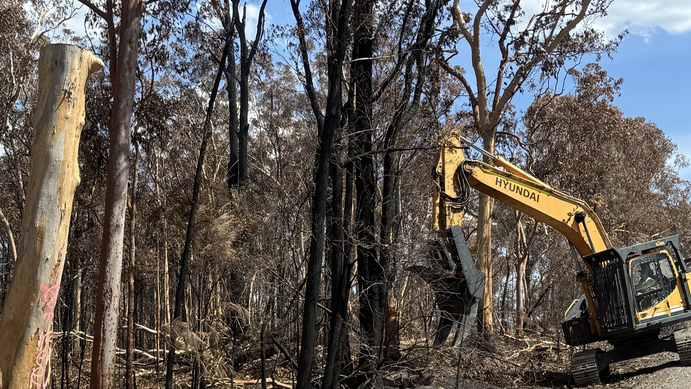 True Roots excavator clearing burnt trees during bushfire hazard reduction work