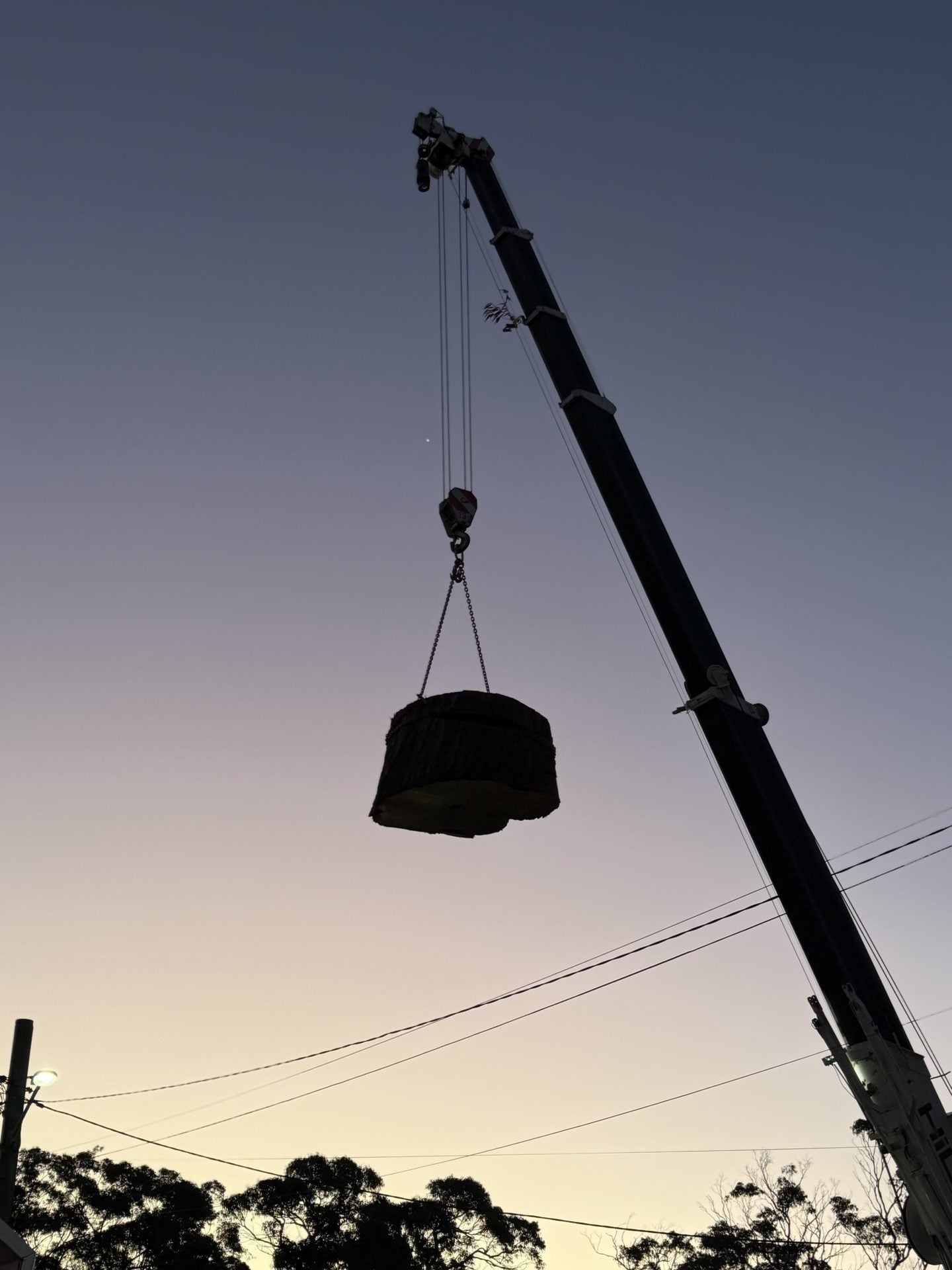 Crane lifting a cut log section at dusk during a True Roots tree removal in Lugarno