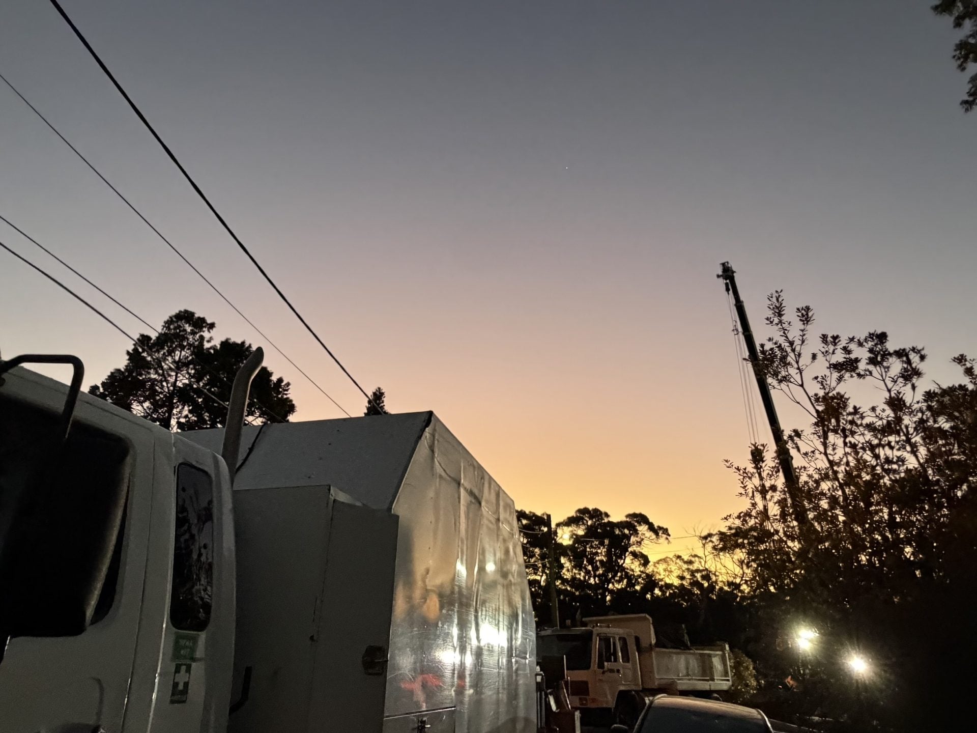 True Roots truck and crane set up at dusk for a tree removal in Lugarno
