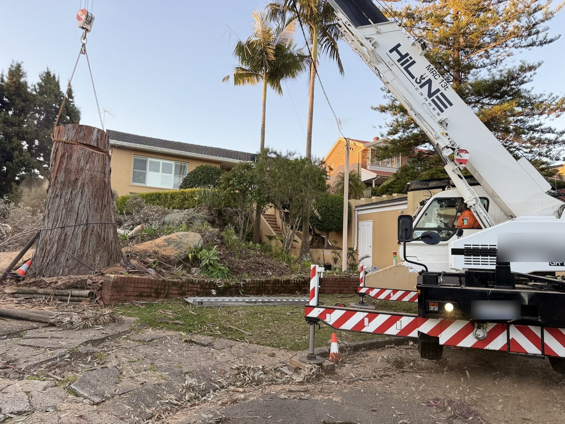 Crane lifting a large trunk section clear of a house during a True Roots tree removal in Lugarno, Sydney