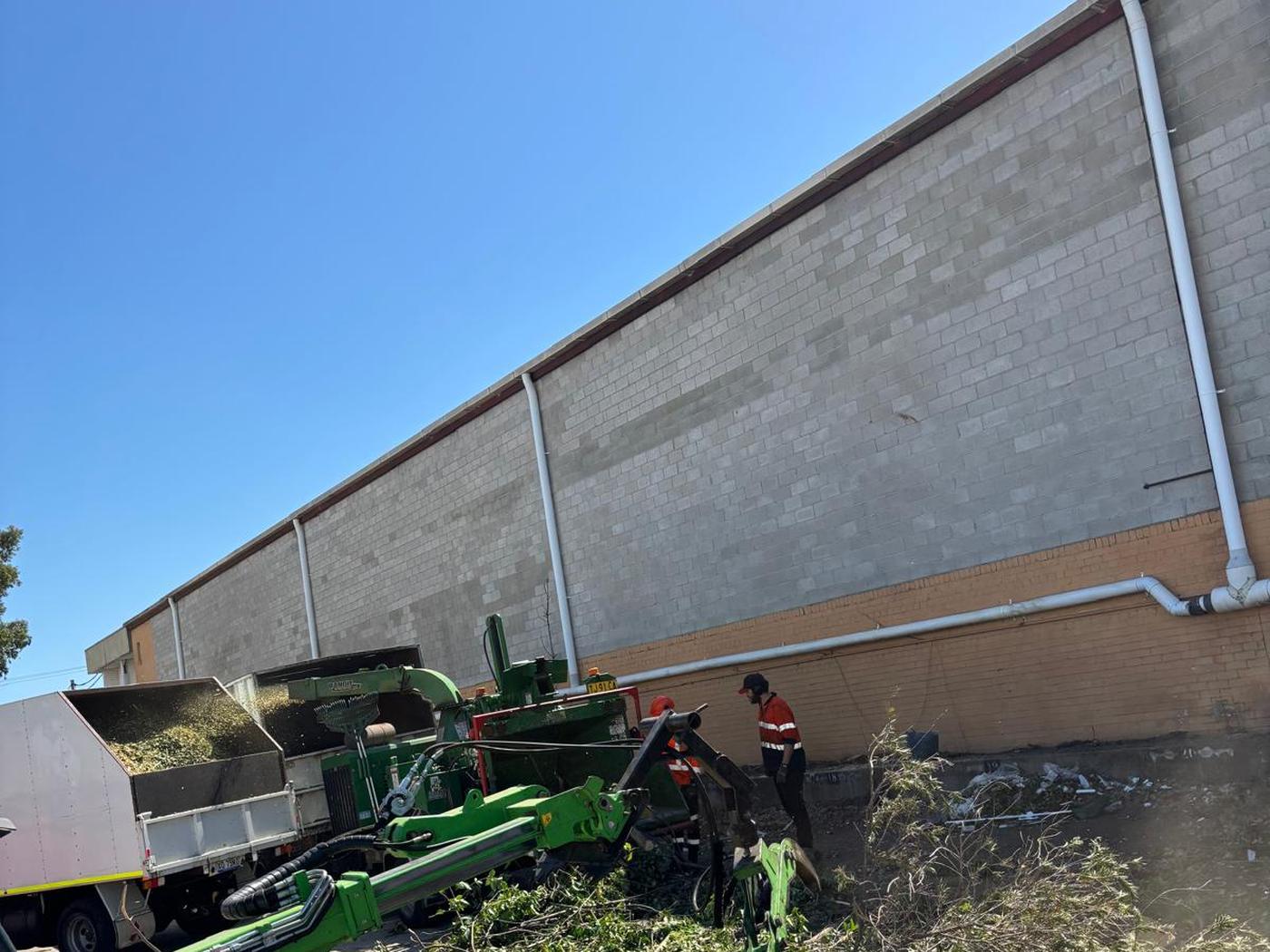 True Roots crew clearing vegetation at an industrial site in Parramatta with a tracked loader, chipper and tip truck alongside a warehouse