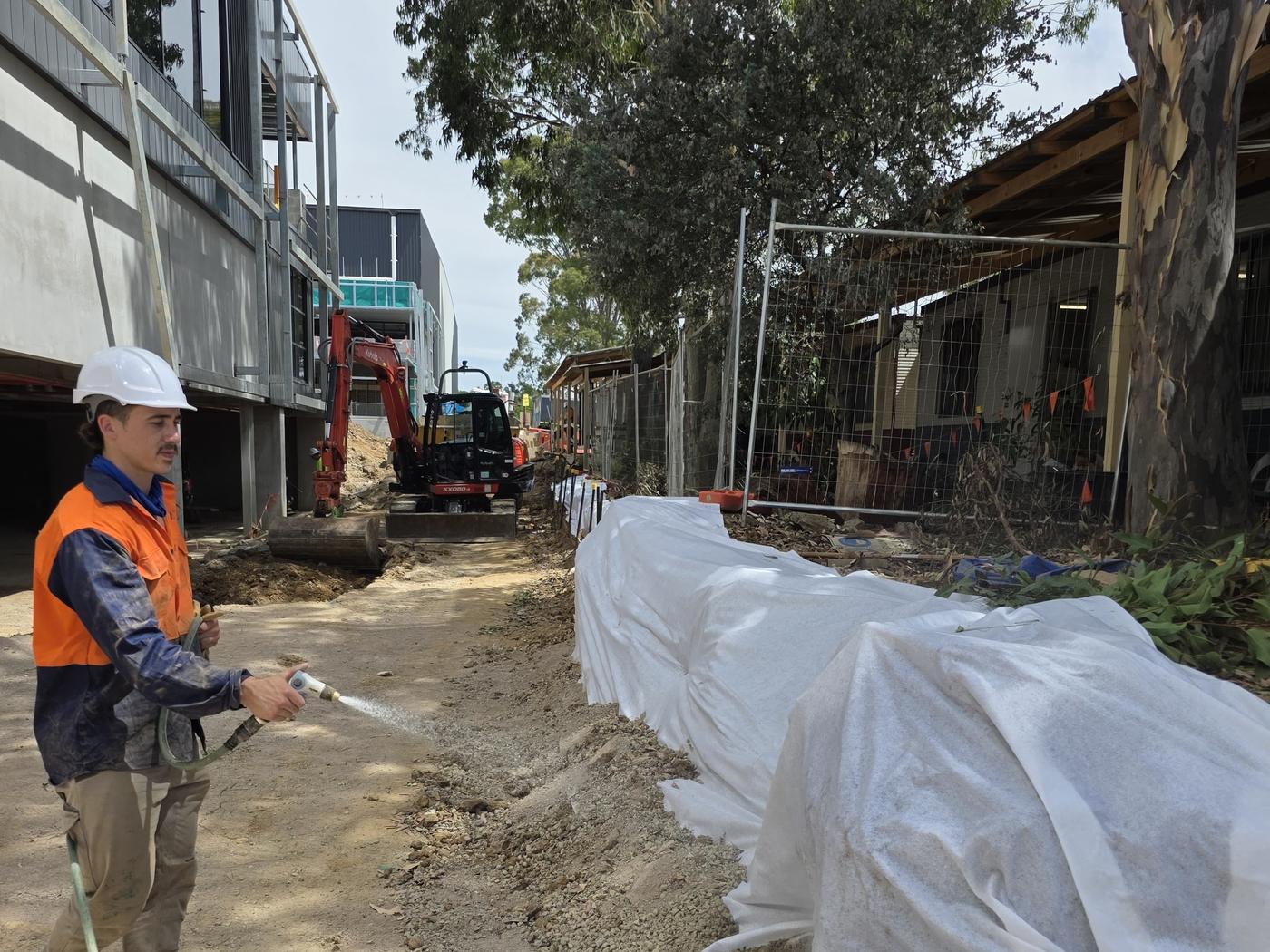 True Roots arborist watering geotextile-wrapped root protection on a Sydney commercial construction site with temporary fencing and an excavator nearby