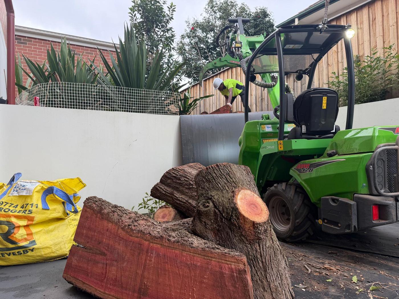 True Roots crew removing a large tree in a tight rear-yard access in Ku-ring-gai, using an Avant tracked loader to move hardwood log sections