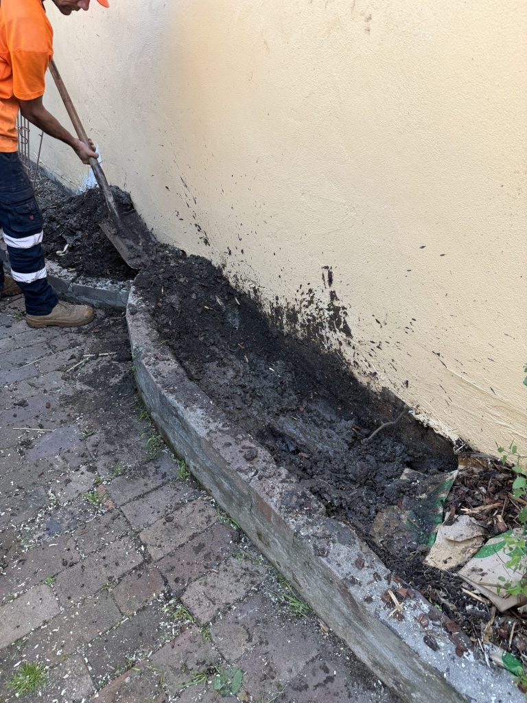 True Roots crew digging out tree roots and soil from a garden bed in Newtown