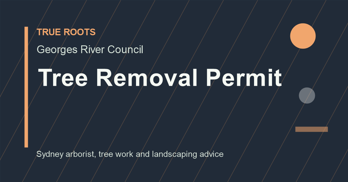 Council tree services Sydney — tree removal permit process for Georges River Council
